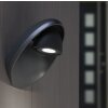 Lutec Lampor EGGO vägglampa utomhus, Vägglampa LED Antracit, 3-ljuskällor