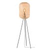SCHÖNER WOHNEN kollektion CALLA Golvlampa, Golvlampa Svart, 1-ljuskällor