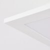 Sordos Taklampa, Panel LED Vit, 1-ljuskällor, Rörelsedetektor