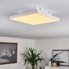 Buenaventura Taklampa, Panel LED Vit, 1-ljuskällor, Fjärrkontroll
