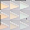 Buenaventura Taklampa, Panel LED Vit, 1-ljuskällor, Fjärrkontroll