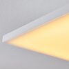Salamo Taklampa, Panel LED Vit, 1-ljuskällor, Fjärrkontroll