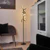 Lavaca Golvlampa, Golvlampa LED Svart, 2-ljuskällor