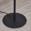 Lavaca Golvlampa, Golvlampa LED Svart, 2-ljuskällor