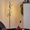Lavaca Golvlampa, Golvlampa LED Svart, 2-ljuskällor