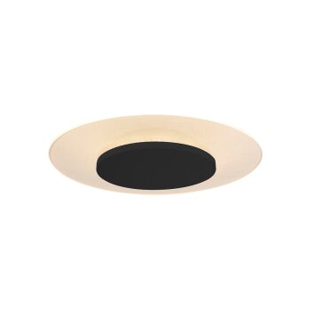 Steinhauer Lido Taklampa LED Svart, 1-ljuskällor