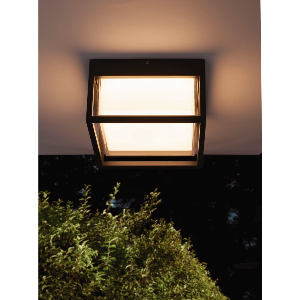 Mantra CHAMONIX Taklampa LED Grått, 1-ljuskällor main product photo