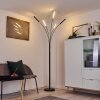 Totara Golvlampa, Golvlampa LED Svart, 5-ljuskällor
