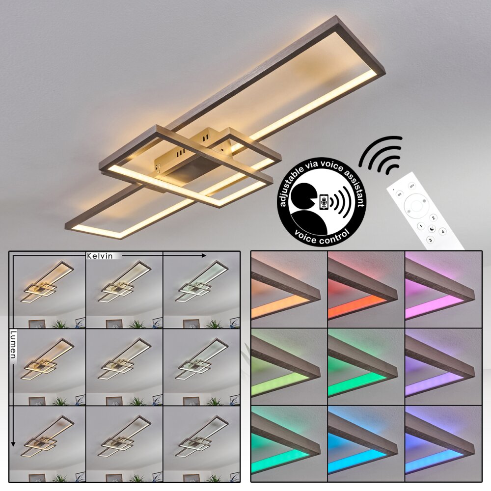 Momahaki Taklampa LED Nickel matt, 1-ljuskällor, Fjärrkontroll main product photo