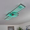 Momahaki Taklampa LED Nickel matt, 1-ljuskällor, Fjärrkontroll