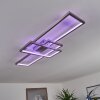 Momahaki Taklampa LED Nickel matt, 1-ljuskällor, Fjärrkontroll