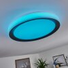 Gladstone Taklampa LED Svart, Vit, 1-ljuskällor, Fjärrkontroll