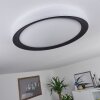 Gladstone Taklampa LED Svart, Vit, 1-ljuskällor, Fjärrkontroll
