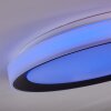Gladstone Taklampa LED Svart, Vit, 1-ljuskällor, Fjärrkontroll