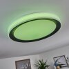 Gladstone Taklampa LED Svart, Vit, 1-ljuskällor, Fjärrkontroll
