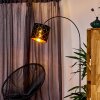 Arnoya Golvlampa, Golvlampa Svart, 1-ljuskällor
