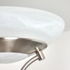 Mairoa strålkastare, Golvlampa LED Nickel matt, 2-ljuskällor
