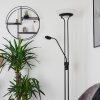 Mairoa Golvlampa, strålkastare LED Svart, 2-ljuskällor