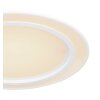 Globo DAHLA Taklampa LED Vit, 1-ljuskällor, Färgväxlare