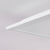 Badia Taklampa, Panel LED Vit, 2-ljuskällor