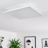 Badia Taklampa, Panel LED Vit, 2-ljuskällor