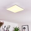 Badia Taklampa, Panel LED Vit, 2-ljuskällor