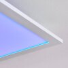 Gallitos Taklampa, Panel LED Vit, 1-ljuskällor, Fjärrkontroll, Färgväxlare