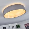 Elsa Taklampa LED Vit, 1-ljuskällor