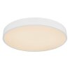 Globo LEANARA Taklampa LED Vit, 1-ljuskällor, Fjärrkontroll