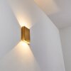 Benin vägglampa utomhus, Panel LED Mässing, 2-ljuskällor