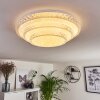 Roseto Taklampa LED Genomskinlig, klar, Vit, 1-ljuskällor, Fjärrkontroll