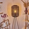 Quinto Golvlampa, Golvlampa Svart, 1-ljuskällor