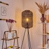 Quinto Golvlampa Svart, 1-ljuskällor