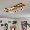 Pompu Taklampa LED Trä ljus, Svart, 2-ljuskällor