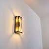 Caudry vägglampa utomhus Svart, 2-ljuskällor