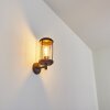 Riola vägglampa utomhus Rostfärger, 1-ljuskällor