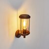 Riola vägglampa utomhus Rostfärger, 1-ljuskällor