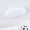 Rosenga Taklampa LED Vit, 1-ljuskällor, Fjärrkontroll