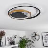 Trapani Taklampa LED Guld, Svart, 1-ljuskällor, Fjärrkontroll, Färgväxlare