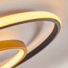 Trapani Taklampa LED Guld, Svart, 1-ljuskällor, Fjärrkontroll, Färgväxlare
