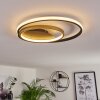 Trapani Taklampa LED Guld, Svart, 1-ljuskällor, Fjärrkontroll, Färgväxlare
