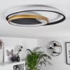 Trapani Taklampa LED Guld, Svart, 1-ljuskällor, Fjärrkontroll, Färgväxlare