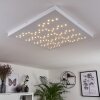 Cetara Taklampa LED Grått, 1-ljuskällor, Fjärrkontroll, Färgväxlare
