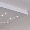 Cetara Taklampa LED Grått, 1-ljuskällor, Fjärrkontroll, Färgväxlare