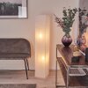 Hauhui Golvlampa Svart, 2-ljuskällor