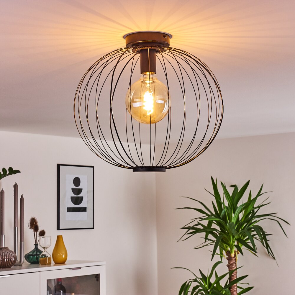 Wharua Taklampa Svart, 1-ljuskällor main product photo