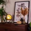 Oghu Bordslampa Svart, 1-ljuskällor
