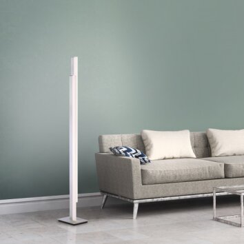 Paul Neuhaus Q-Serie Q-TOWER Golvlampa, Golvlampa LED Aluminium, 2-ljuskällor, Fjärrkontroll