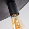 Esbjerg Taklampa Svart, 6-ljuskällor