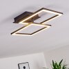 Thara Taklampa LED Svart, 1-ljuskällor
